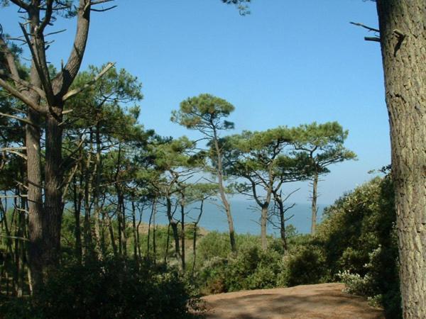 Cottages Du Valcoquet Сен-Бревен-ле-Пен Екстериор снимка